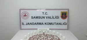 Samsun'da uyuşturucu operasyonunda yakalanan zanlı tutuklandı