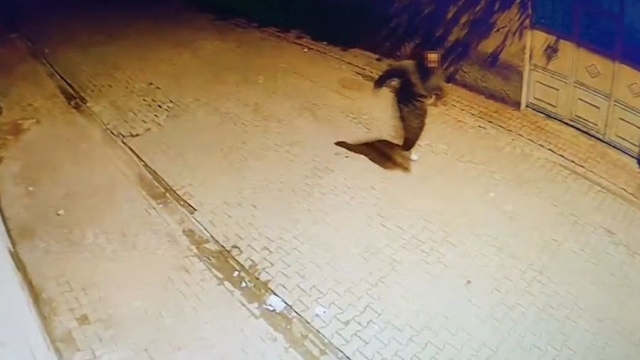 Adana'da evin camlarına taş atıp kaçtı: O anlar kamerada