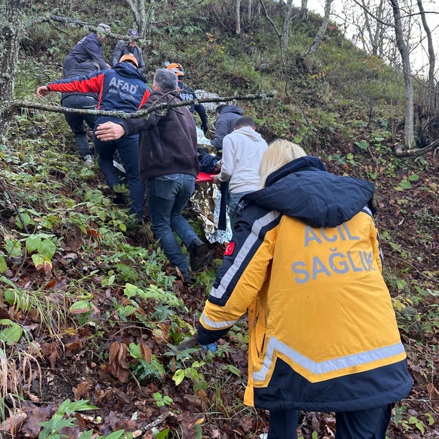 Otomobil ormanlık alana uçtu, 2 yaralı