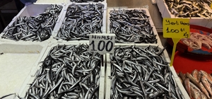 Trabzon'da hamsi ve istavrit 100 liradan satılıyor