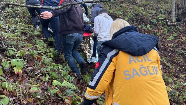 Otomobil ormanlık alana uçtu, 2 yaralı