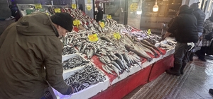 Samsun'da hamsinin kilogramı 150 liradan satılıyor