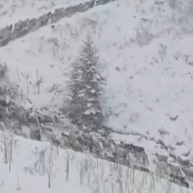 Anzer Yaylası'na kar yağdı, her yer beyaza büründü