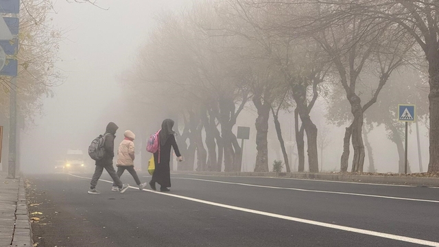 Diyarbakır'da sis görüş mesafesini düşürdü