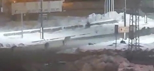 Karayazı'da akşam saatlerinde kurt alarmı