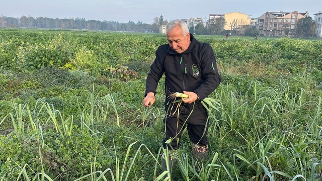 Ata tohumundan ilaç kullanılmadan üretiliyor, Kent Lokantası'ndaki yemeklerde kullanılıyor