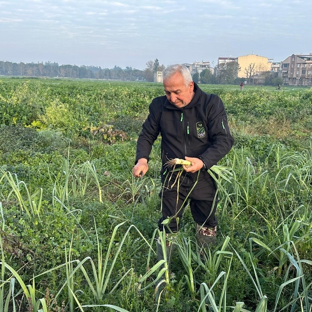 Ata tohumundan ilaç kullanılmadan üretiliyor, Kent Lokantası'ndaki yemekler...