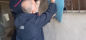 Antakya’da kedi kurtarma operasyonu