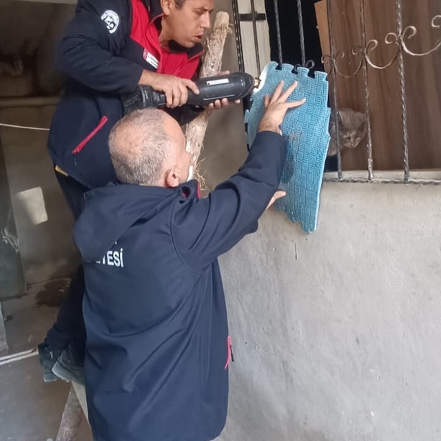 Antakya'da kedi kurtarma operasyonu