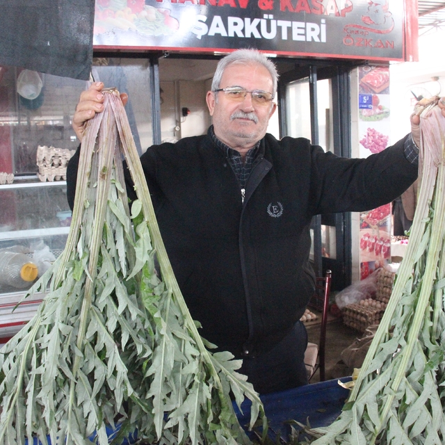 Karaciğer dostu enginar pazarda yoğun ilgi görüyor