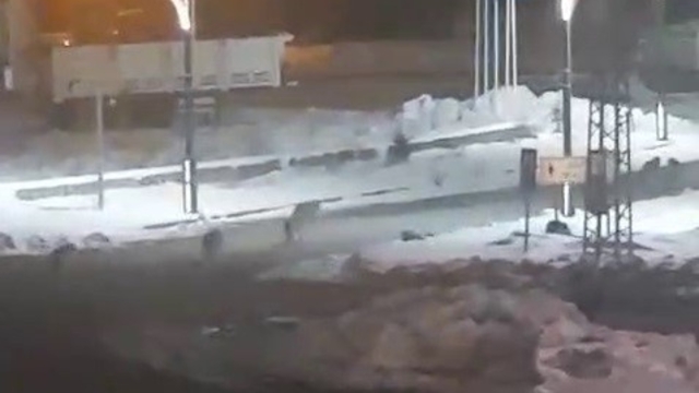 Karayazı'da akşam saatlerinde kurt alarmı