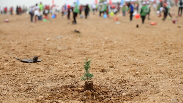ATÜ yeşil kampüs olma yolunda ilerliyor: Dikilen fidan sayısı 22 bin 500'ü buldu
Rektör Prof. Dr. Adnan Sözen'den uyarı:
"Toprak analizi yapılıp, suya dayanıklı bitkiler dikilmeli"
