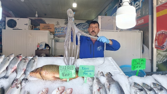 Denize kıyısı olmayan Kahramanmaraş'ta balığa yoğun ilgi
Günde yaklaşık 3 ton civarında hamsi tüketiliyor