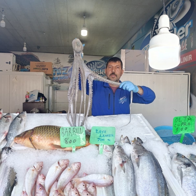 Denize kıyısı olmayan Kahramanmaraş'ta balığa yoğun ilgi
Günde yaklaşık 3 t...