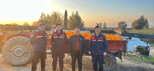 Nazilli'de 1,5 ton portakal çaldıkları öne sürülen 2 zanlı yakalandı