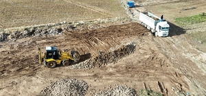 Malatya'da şeker pancarında yüksek verim çiftçinin yüzünü güldürdü