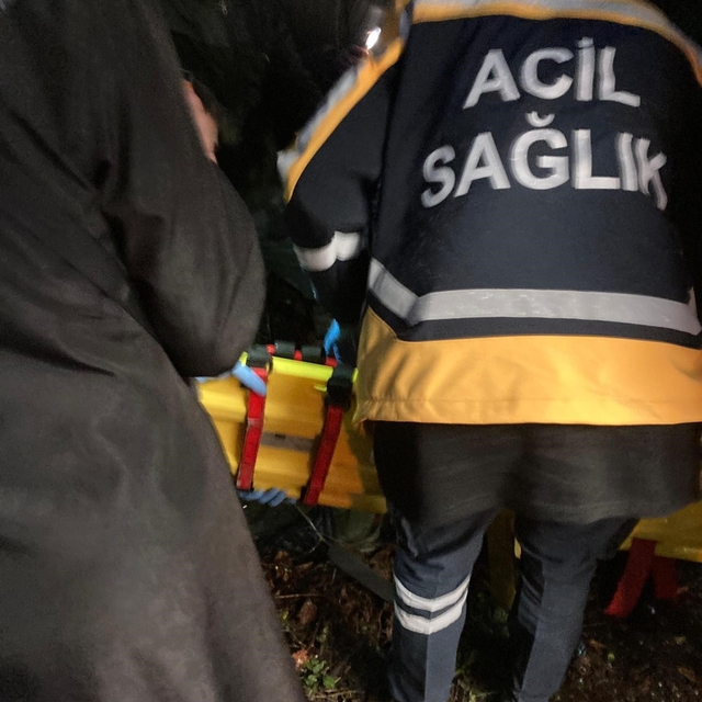 Alaplı'da pat pat kazası: 2 yaralı