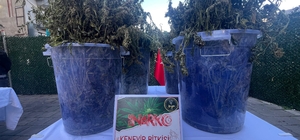 İzmir'de tek operasyonda 3 milyon uyuşturucu hap ele geçti: 46 tutuklama