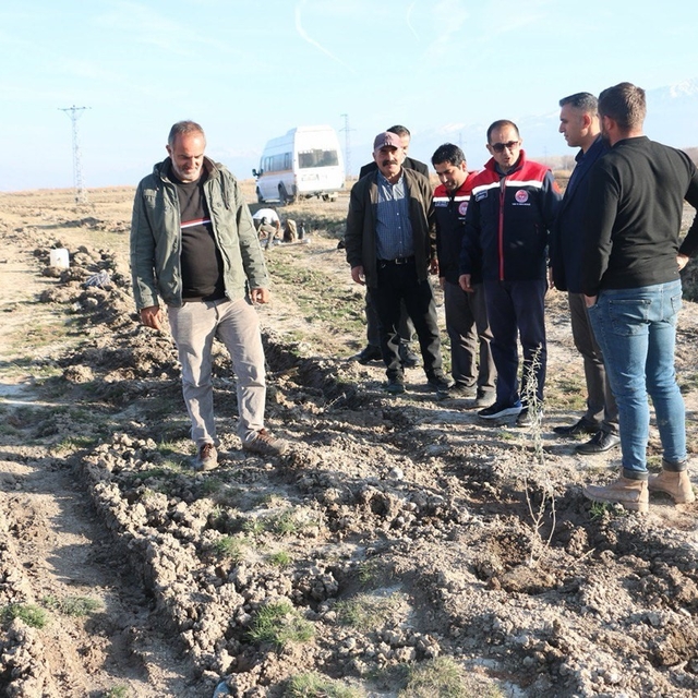 Erzincan'da 111 bin tuz çalısı toprakla buluşturuldu