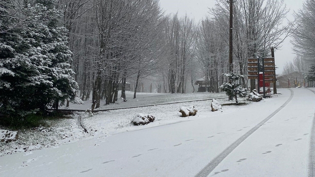 Kartepe'ye lapa lapa kar yağıyor
