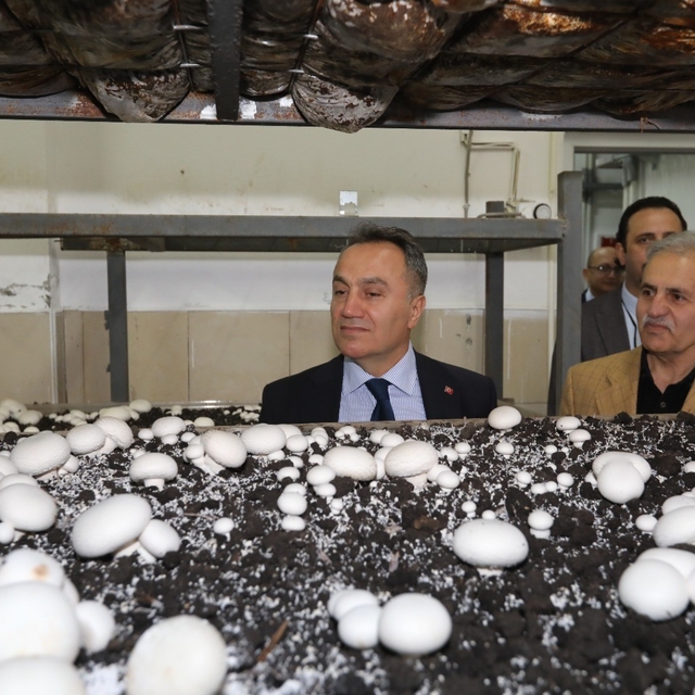 TOGÜ'de üretime dayalı eğitim modelleri güçleniyor