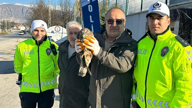Polisin bulduğu yaralı kızıl şahin, tedaviye alındı