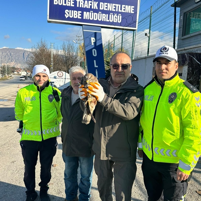 Polisin bulduğu yaralı kızıl şahin, tedaviye alındı
