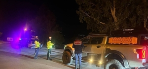 Aydın'da bir haftada 343 aranan şahıs yakalandı