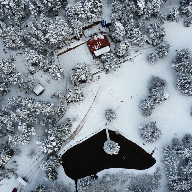 Gümüşhane'de Kent Ormanı, kar yağışıyla beyaza büründü