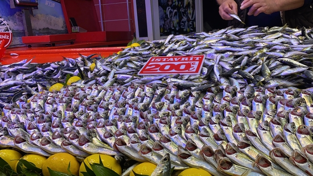 Bolu'da fırtına balık tezgahlarını vurdu