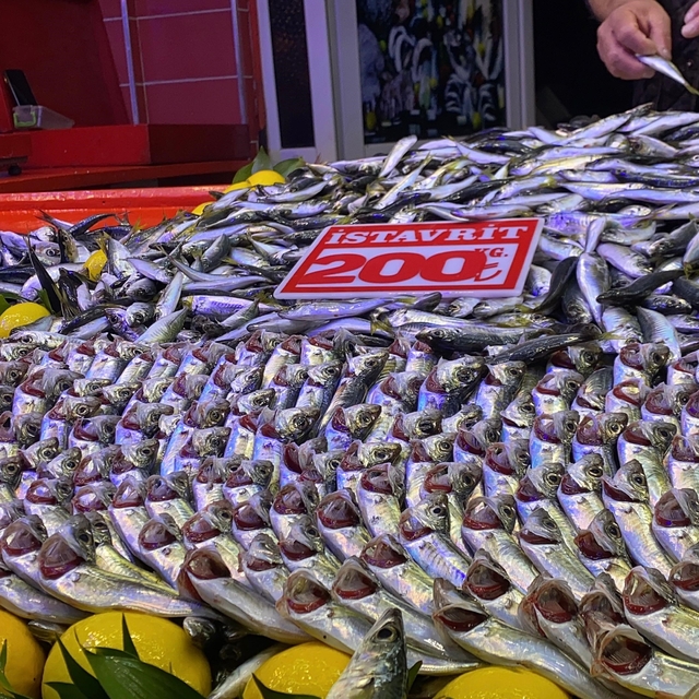 Bolu'da fırtına balık tezgahlarını vurdu