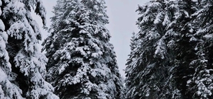 Meteorolojinin uyardığı Çankırı'da kar yağışı etkili oldu
