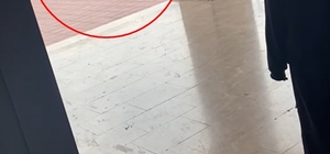 Okul müdürünün, öğrenciyi yakasından tutup yere savurduğu görüntülere inceleme