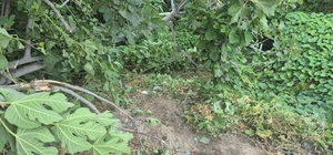 Fethiye'de kazada yaralanan genç, 123 günlük hayat mücadelesini kaybetti