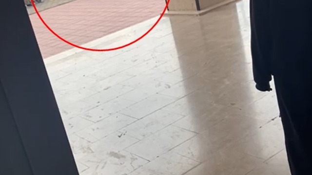 Okul müdürünün, öğrenciyi yakasından tutup yere savurduğu görüntülere inceleme