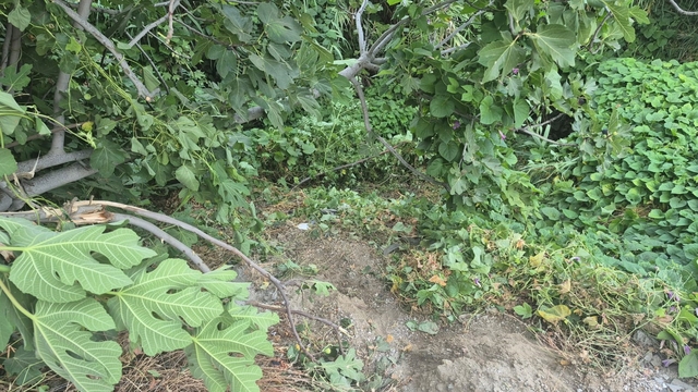 Fethiye'de kazada yaralanan genç, 123 günlük hayat mücadelesini kaybetti