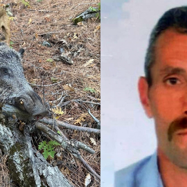 Erzincan'da domuzun saldırısına uğrayan avcı öldü