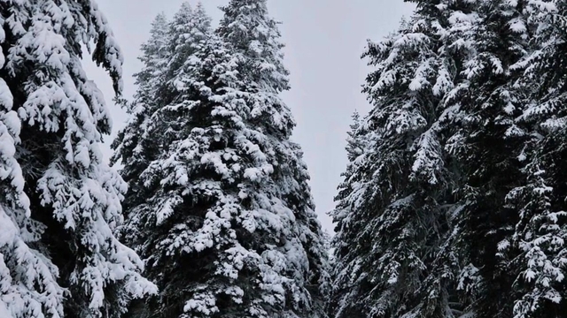Meteorolojinin uyardığı Çankırı'da kar yağışı etkili oldu
