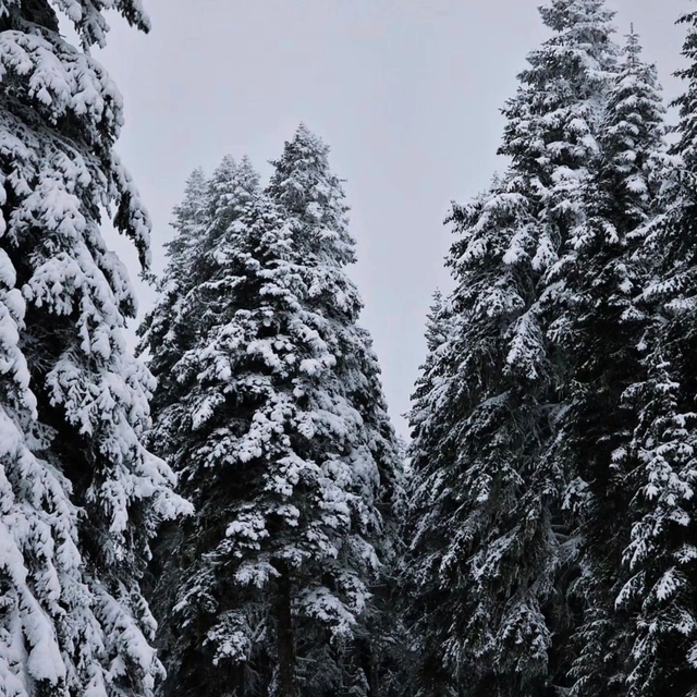 Meteorolojinin uyardığı Çankırı'da kar yağışı etkili oldu