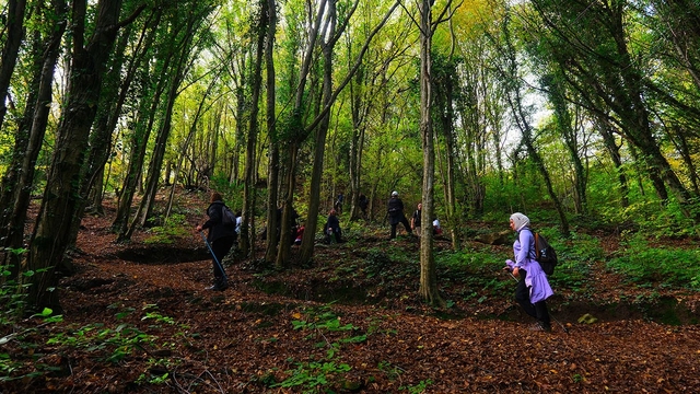 Doğaseverler Sakarya'nın eşsiz doğasını keşfetti