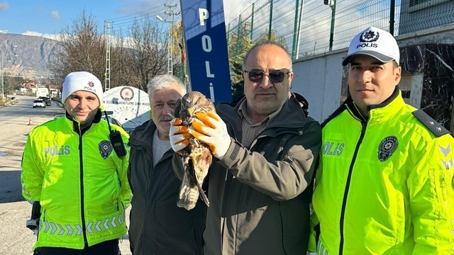 Yaralı şahine polis şefkati