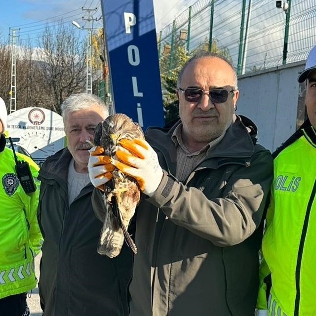 Yaralı şahine polis şefkati