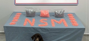 Jandarma KOM'un başarılı operasyonunda 28 bin adet uyuşturucu hap ele geçirildi