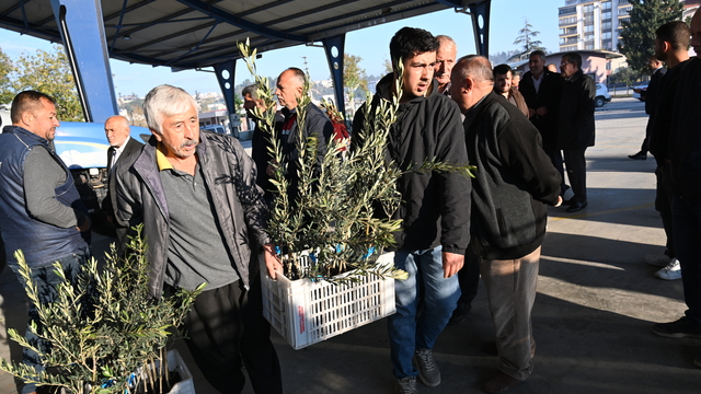 Kadirli ilçesinde üreticilere 10 bin 500 zeytin fidanı dağıtıldı