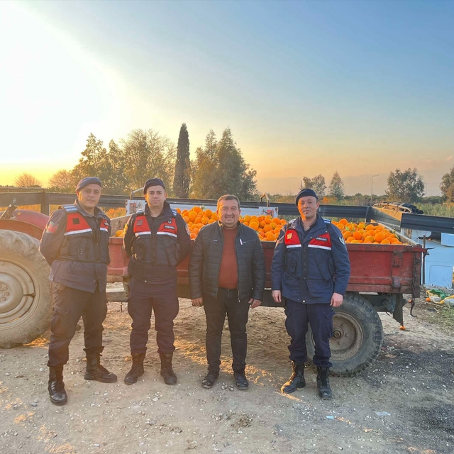 Nazilli'de 1,5 tonluk portakal hırsızlığı jandarmaya takıldı