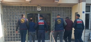 Bahçeden çalındı, fabrikada bulundu
400 kiloluk zeytin hırsızlığı Aydın'da ortaya çıkarıldı