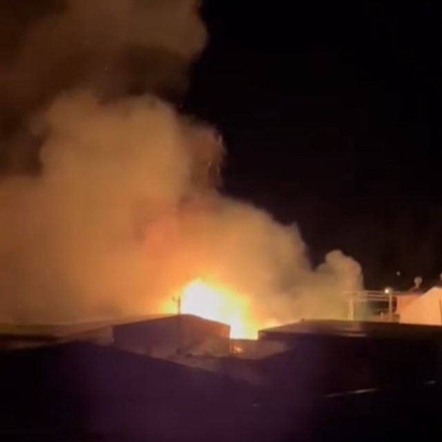 Mersin'de sazlık alandaki yangın söndürüldü: Bir sera zarar gördü