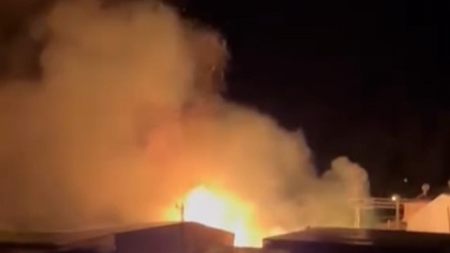 Mersin'de sazlık alandaki yangın söndürüldü: Bir sera zarar gördü