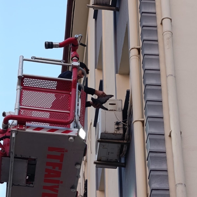 İskenderun'da klima motoruna dolaşan kuş kurtarıldı