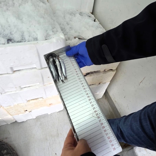 Kırklareli'nde su ürünleri denetimi